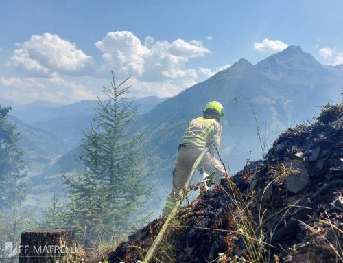 Brand Wald
